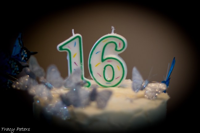 Celebrating_Life_9-12-1